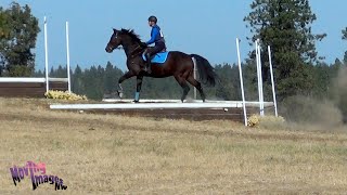 Sara Liddell Spokane Sport Horse Farm HT September 2024 [upl. by Aihc]