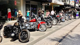 Abbey Road St Kilda Saturday 7 December 2024 [upl. by Ecinnahs]