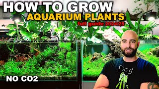 DONT START A PLANTED TANK WITHOUT WATCHING THIS Everything I Have Learnt in 6 Years [upl. by Cullie379]