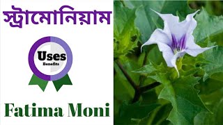 Stramonium Symptoms Rubrics  Fatima Moni  Homoeopathic Medicine Bangla [upl. by Gawen912]