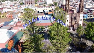 Los 3 Árboles más altos entre Zamora Tangancícuaro y Jacona y excelentes paisajes y la plaza [upl. by Adnahcal153]