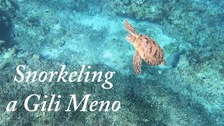 Snorkeling a Gili Meno [upl. by Hau]