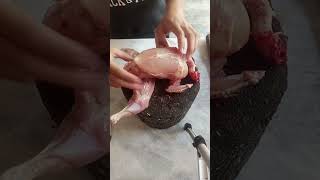 Uper View of Chicken Meat meat chicken shortsfeed shorts butcher [upl. by Hpejsoj642]