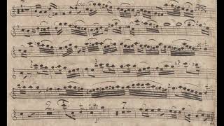 Leopold Kozeluch 1747  1818  Clarinet Concerto No 2 [upl. by Enram]