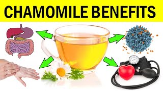 10 Unbelievable Benefits Of Chamomile Tea Plant amp Oil For Skin Hair And Overall Health [upl. by Bora289]