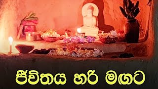 ජීවිතය හරි මඟටMaha Rahathun Wedi Maga Osse [upl. by Nolur]