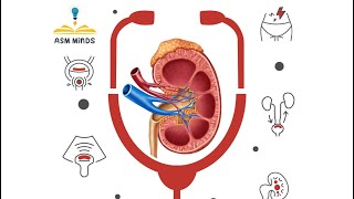 Nephrology round Orientation [upl. by Mohamed]