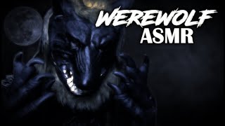 Werewolf ASMR  Welcome To The Pack Personal Attention Mic Scratching Mouth Sounds and Licking [upl. by Yessac]