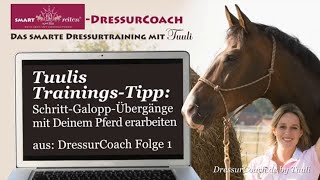 DressurCoachTipp 02  SchrittGaloppÜbergänge mit Deinem Pferd erarbeiten [upl. by Griswold]