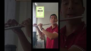 Partita de Bach en flauta 🎵 bach flauta partita musicabarroca flautatraversa musicaclasica [upl. by Munt]