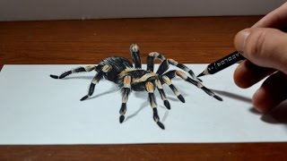 Amazing Anamorphic Tarantula Drawing  Trick Art 3D Realism [upl. by Berger]