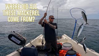 MACKEREL FISHING Boat Fishing For Mackerel  Where Did All That Fish Come From  Sea Fishing UK [upl. by Tamas985]