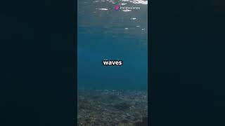 quotEver wondered how tsunamis happen 🌊 tsunami scienceshorts nature [upl. by Annauqaj]