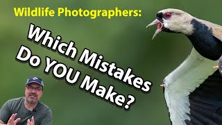 6 Wildlife Photography Mistakes EVERYONE Makes OK almost everyone [upl. by Hoffmann]