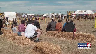 Free medieval fair in Normans Reaves Park [upl. by Roselane]