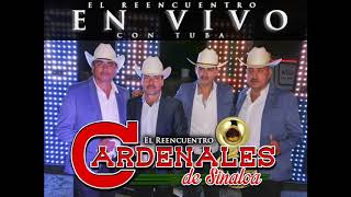 A Ti Te Canto Guerita  Los Cardenales de Sinaloa EN VIVO CON TUBA 2020 [upl. by Assirem]