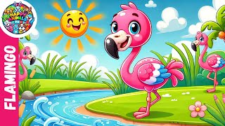 Flamingo Dance  ‪HappyAnimalsTV Kids Songs amp Nursery Rhymes [upl. by Olrac]