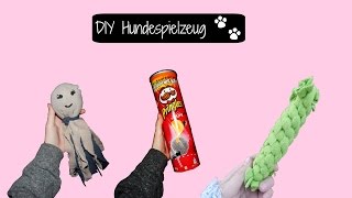 DIY HUNDESPIELZEUG  Fleecespielzeug Sockenkrake [upl. by Maxima]