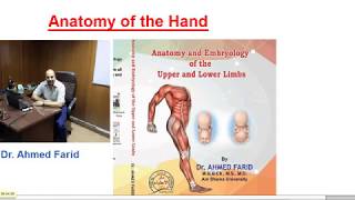 Muscles of the Hand Division Origin Insertion Functions [upl. by Utas]