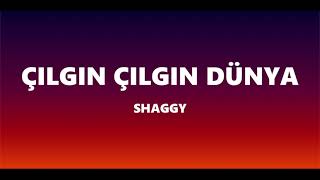 Shaggy  Mad Mad World  Türkçe Çeviri [upl. by Adlaremse415]