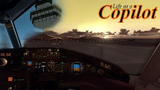 💺 Life as a Copilot FSX Movie [upl. by Ahsiakal]