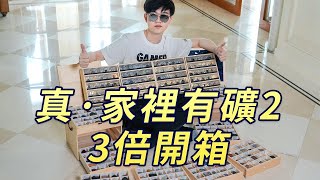 真·家裡有礦2丨一次開箱300個礦物標本丨礦標收藏入門介紹 [upl. by Stander381]