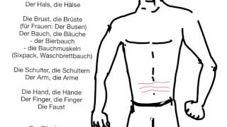 Learn German vocabulary Human body parts [upl. by Lauri805]