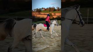 Premiers changements de pieds ☺️🦄 horse equestrian poney [upl. by Asha604]