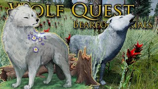 Strange SCENTS of Danger on the Wind 🐺 Wolf Quest Bearfoot Wolves • 19 [upl. by Barnum]