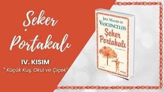 Şeker Portakalı Sesli Kitap  4 BÖLÜM  Jose Mauro de Vasconcelos [upl. by Sucramd]