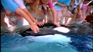 MarineLand quotPlace to bequot 2008 edit broadcast commercial [upl. by Ecidnak]