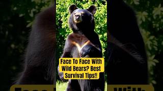 FACE TO FACE with BEARS Survival Tips You NEED shorts animalfacts [upl. by Nossila]