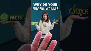 Why Do Your Fingers Wrinkle🤔😱 hand shorts [upl. by Sykleb]