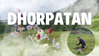 DHORPATAN  HORPATON  Monsoon Time dhorpatan baglung nepal [upl. by Ezeerb869]