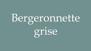 How to Pronounce Bergeronnette grise Grey wagtail Correctly in French [upl. by Hun]