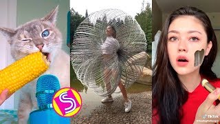 Best Funny TikTok Videos Compilation  ComedyampSatisfying TikTok 2019 [upl. by Yhtamit469]