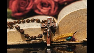 HCPT International Rosary [upl. by Llednov]