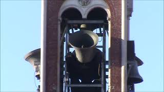 Le campane di Legnano MI Chiesa di San Domenico  Concerto funebre [upl. by Beau]