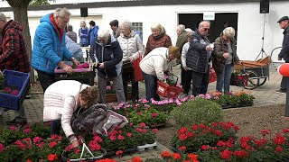 Balkonpflanzenverkauf bei der WEWOBAU [upl. by Yrrum763]