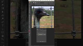 Generative Fill in Photoshop photoshoptips photoshoptutorial [upl. by Fates]