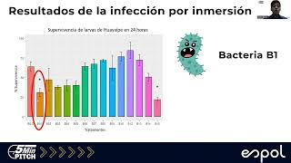 Evaluación de patogenicidad y virulencia aislados bacterianos sobre larvas y juveniles de huayaipE [upl. by Lais858]