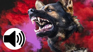 ANGRY Dogs Barking Sound Effect [upl. by Nyltak368]