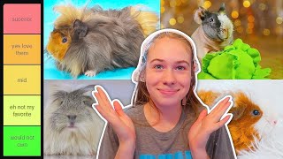 Ranking Guinea Pig Breeds  Tier List [upl. by Latrena]