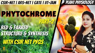 Phytochrome CSIR NET 2  Sensory Photobiology CSIR NET  Plant physiology CSIR NET PYQ [upl. by Dierdre775]