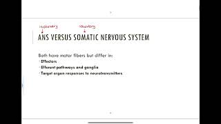 141  ANS vs Somatic Nervous System [upl. by Drusy447]