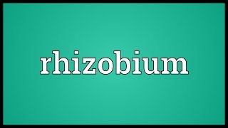 Rhizobium Meaning [upl. by Barsky]