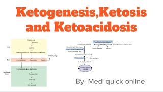 Ketogenesis Ketosis and Ketoacidosis  Lipid metabolism [upl. by Prager]