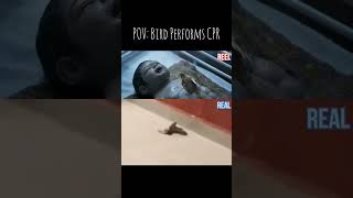 Bird Performing CPR To Save Life  Reel Vs Real [upl. by Gala]