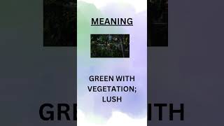 WORD MEANING VERDANT english englishlanguageshorts wordmeaning wordoftheday wordsofwisdom [upl. by Matless100]