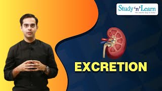 Excretion  Renal Failure and Dialysis  Excretory System in Human  Disorder of Kidney [upl. by Gathard]